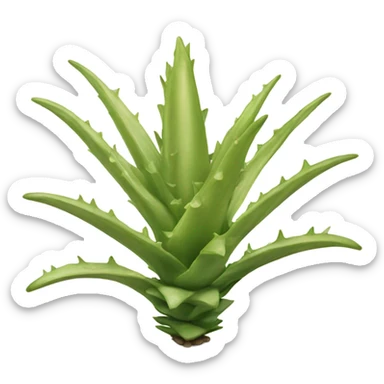 Beige aloe vera sticker