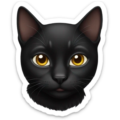 Black cat  sticker