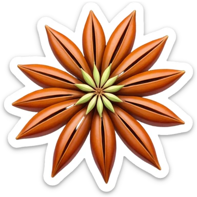 one or two whole star anise pods, rich reddish-brown color, eight sharply pointed arms in a perfect star shape, smooth slightly glossy segments with visible seeds, woody crisp texture, no extras, soft lighting, subtle shadows, transparent background, emoji scale sticker