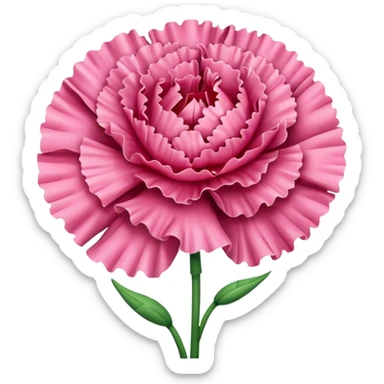Carnation Flower sticker