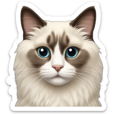 ragdoll cat with darker face sticker