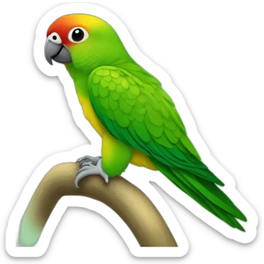 Une conure molinae à joue verte sticker