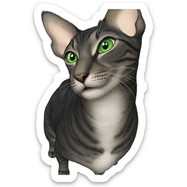 realistic cat with green eyes sticker