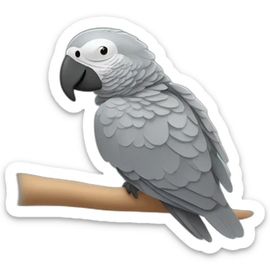 african grey parrot sleeping sticker