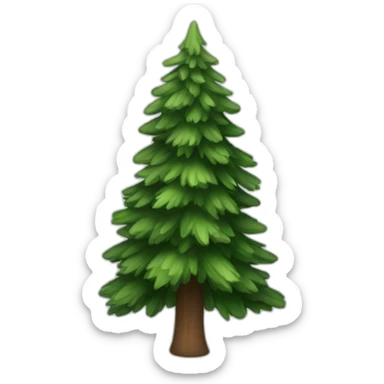 spruce tree sticker