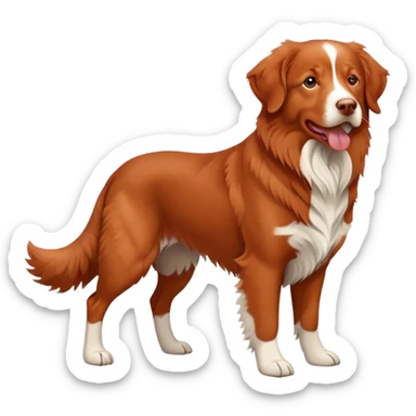 Nova Scotia duck rolling retriever sticker