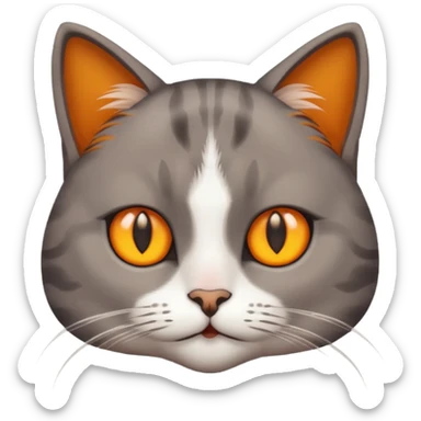 A Cat her race is persante he hair is grew and brown with they eyes orange and Yellow and sticker