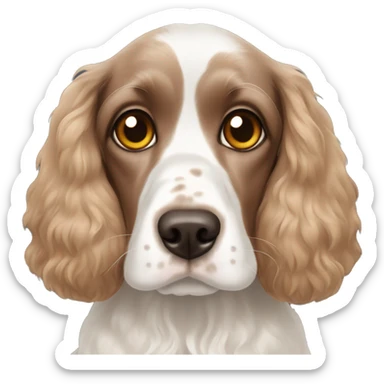 Cocker spaniel with heterochromia sticker