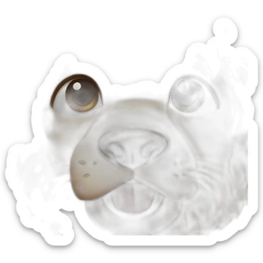 A cutie teddybezr sticker