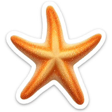 Starfish sticker