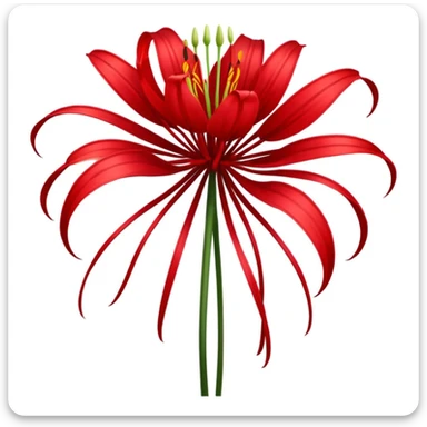 Chinese red spider lily  sticker