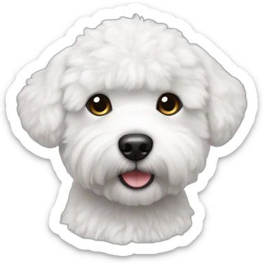 bichon frise puppy dog, white fur, black eyes sticker