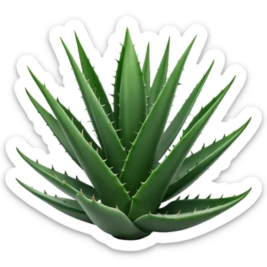 black and white aloe vera sticker