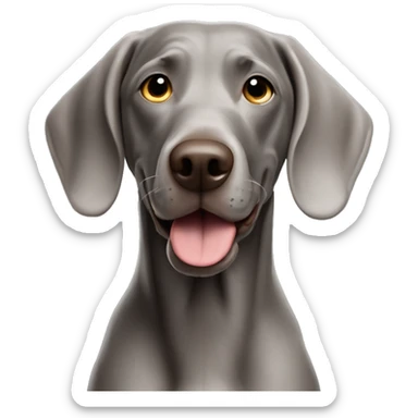 Weimaraner happy sticker