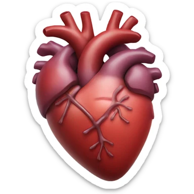  human heart  sticker