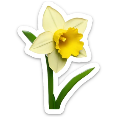 daffodil sticker