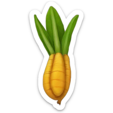 Tumeric root sticker