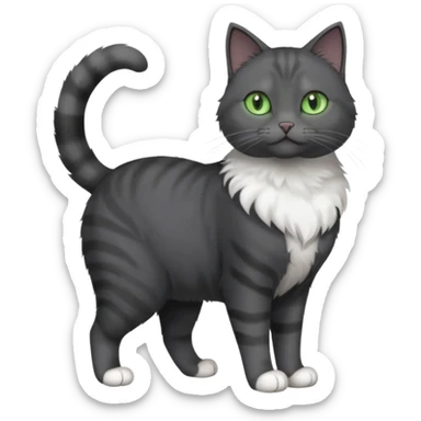 full body view of beautiful female solid dark grey cat with green eyes, white toes/paws and white patch on her chest sticker