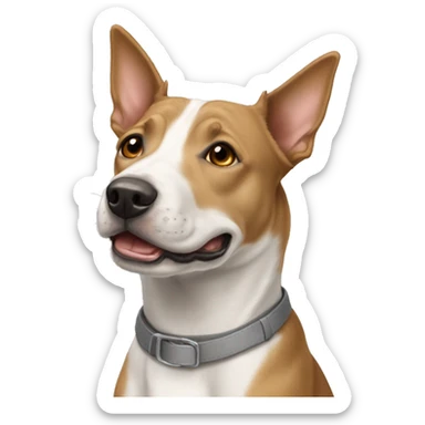 Podengo with grey amstaff  sticker