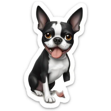 Boston terrier black & white eating sausage sticker
