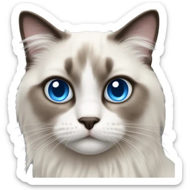 Ragdoll cat with blue eyes sticker