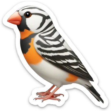 Zebra finch sticker