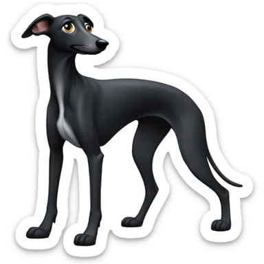 Black greyhound begging for food sticker