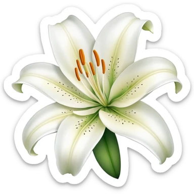 beautiful lily flower with delicate petals sticker