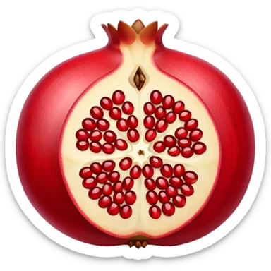 Opened pomegranate from top into 4 direction  sticker