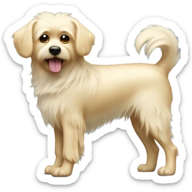 Light blonde small dog with shaggy fur full body sticker