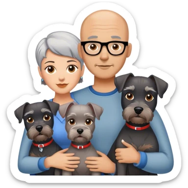 A bald man and woman with short hair with three schnauzers sticker