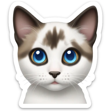 white/black/brown munchkin cat with blue eyes sticker