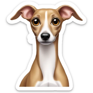 Italian greyhound stiffens.
 sticker