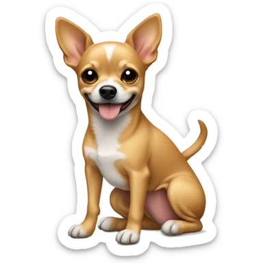 tan terrier Chihuahua mix with wheels sticker