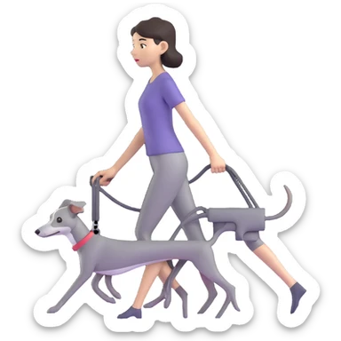Beautiful Asian girl walking a completely solid grey Italian greyhound with a grey nose, no white markings anywhere, no white on the nose, pure grey dog sticker