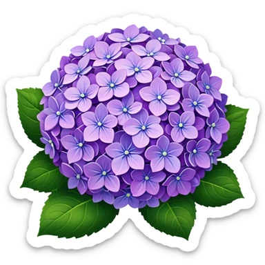 Hydrangea sticker