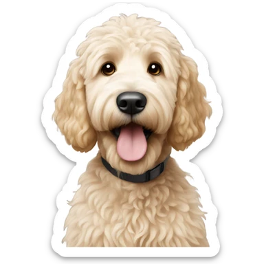 Golden doodle  sticker