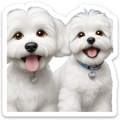 Happy face with 2 white bichon Maltese dogs  sticker