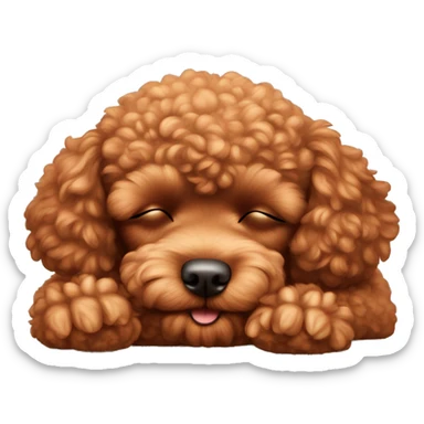 Red toy poodle sleeping sticker