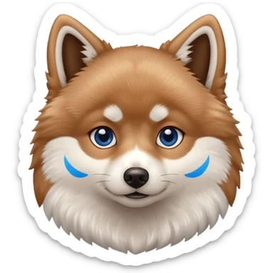 A Brown, light tan and white pomsky with one brown eye and one blue eye sticker