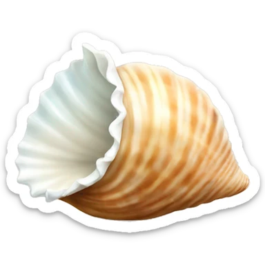 Seashell sticker