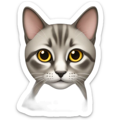 Chat siamois thaï sticker