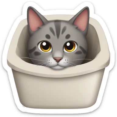 Cat on cat litter sticker