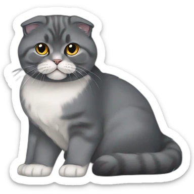 all dark grey Scottish Fold Cat broken ear long hair sticker