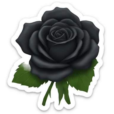 Black rose bouquet  sticker