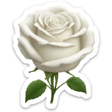 Beautiful white rose sticker