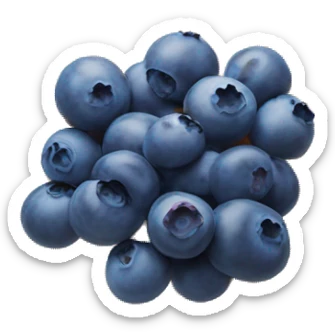 Blueberry’s on plate sticker