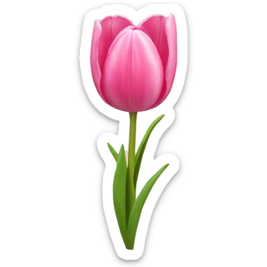 Pink tulips with a bow sticker