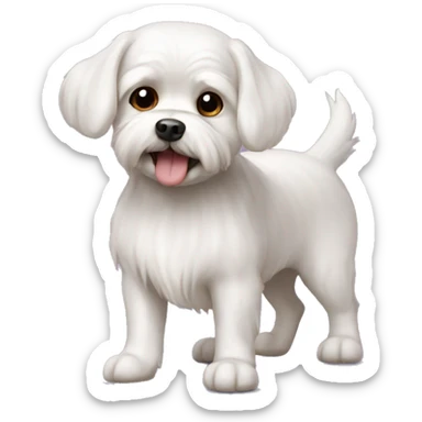 Malteser dog sticker