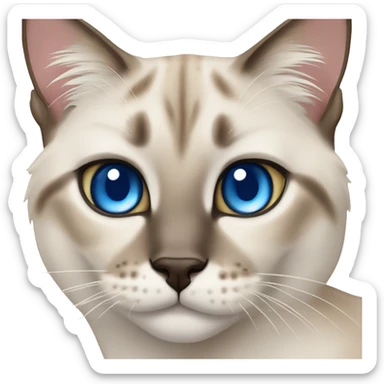 Lynx point Siamese cat with blue eyes sticker